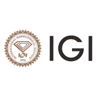 IGI logo